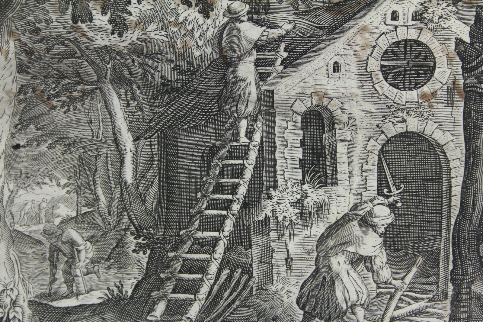 Picture 4 of 9