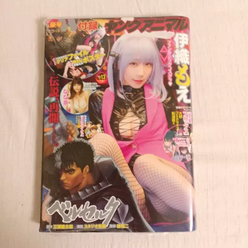 Young Animal 2022 No.13 Berserk Restarting Appendix Clear File