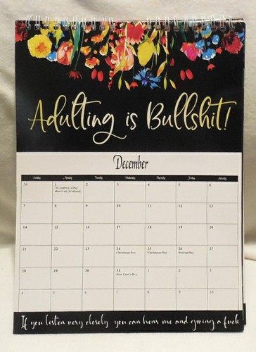 F*ck It Calendar 2025 For Tired-Ass Women Wall Calendar 11" by 8" Spiral - Picture 13 of 14