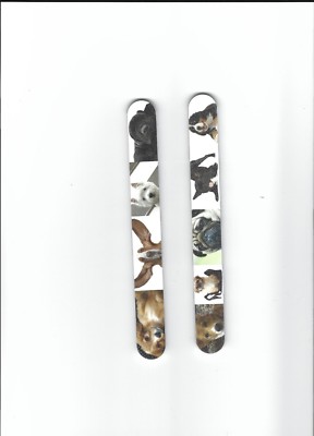 FILE DOGS AND CATS by Star Nail Dogs #2  - 240 grit pack of six
