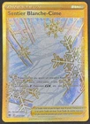 CARTE POKEMON SENTIER BLANCHE CIME 213/189 🇫🇷 FR 🇫🇷 ASTRES RADIEUX