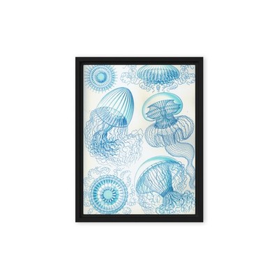 Haeckel Leptomedusae Jellyfish Framed Canvas Vintage Marine Life Wall Art Print