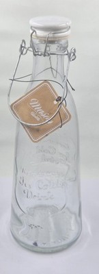 Home Essentials Ice Cold Drink Mason Bottle