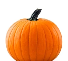 25 Jack-O-Lantern Pumpkin Seeds | Non-GMO | Heirloom Garden Seeds USA