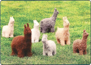 Cute Alpacas Llamas To Knit Felt In Bulky Or Worsted Wt Yarn By Fiber Trends Ebay