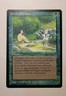 MTG Sylvan Paradise Legends Magic the Gathering Printer Hickey 1994 
