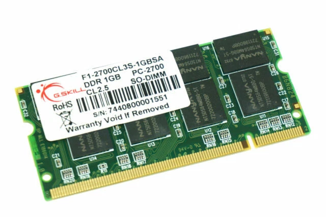 G. SKILL DDR1 SDRAM Computer 1 GB Capacity per Module Memory (RAM)