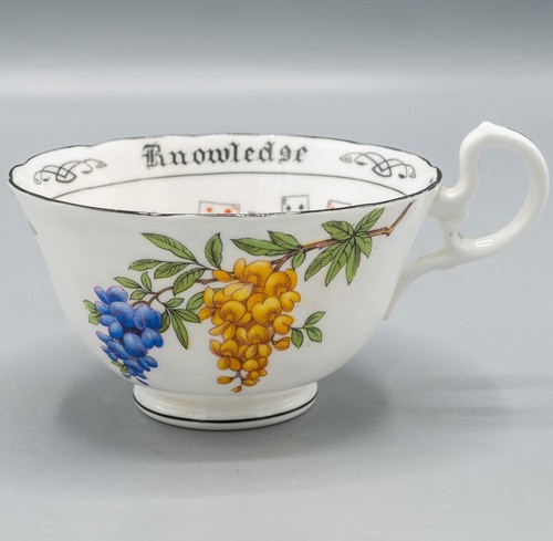 READ- Aynsley Fortune Telling Cup of Knowledge Tea Cup & Saucer Floral Flowers - Picture 12 of 23