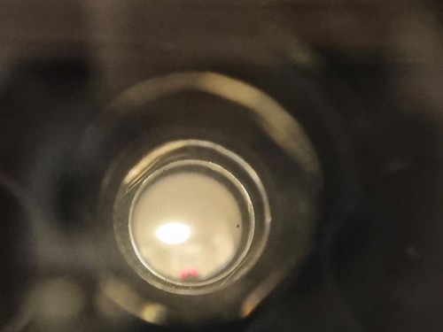 Fernglas 8x25 Nikos BBT KRAUSS Paris 311.66 - Bild 8 von 11