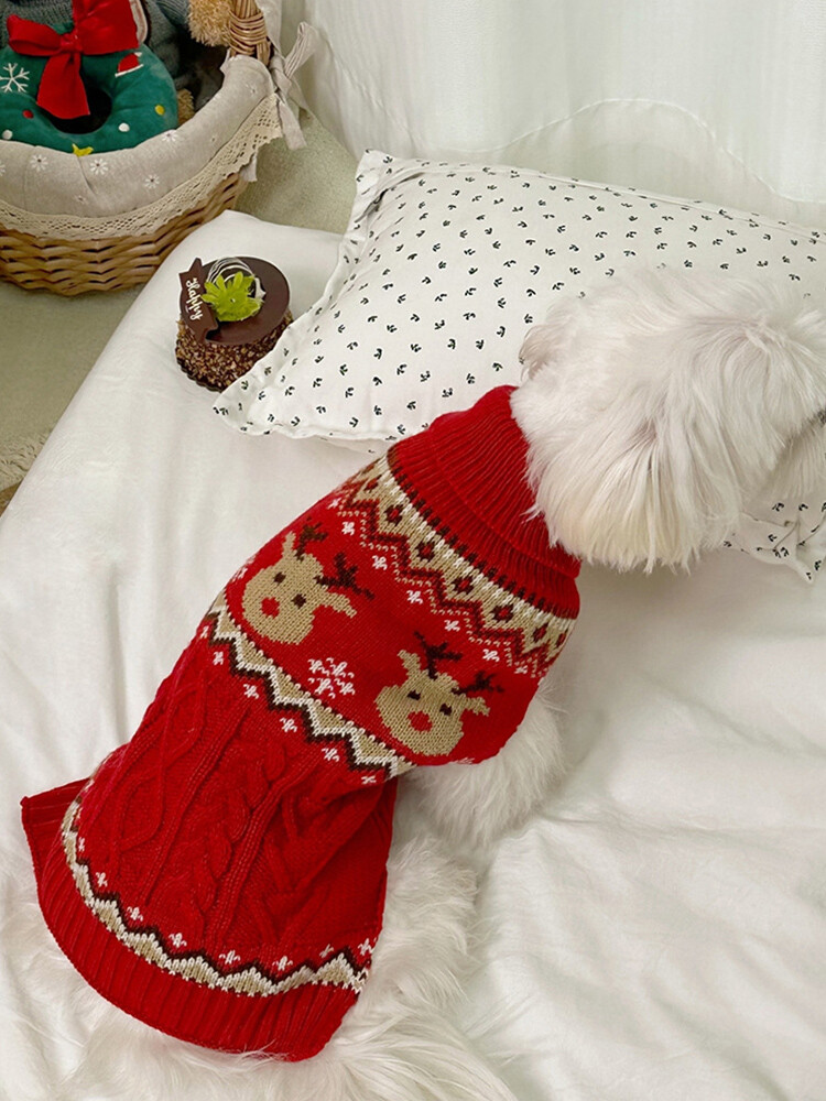Picture 19 of 24