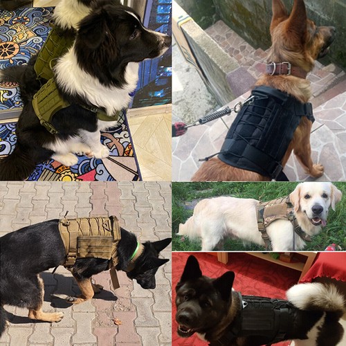 Chaleco ajustable con asa arnés militar para perro de trabajo táctico con asa para perro - Imagen 9 de 32