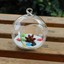 thumbnail 11 - Terrarium Hanging Crystal Pots Flower Vases Glass Planters Home Decor Containers