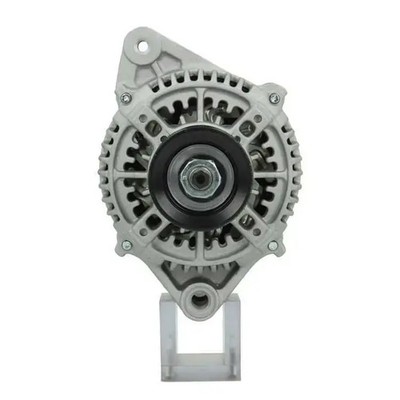Lichtmaschine 505.556.080.050 BV PSH