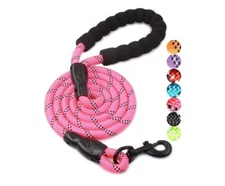 BAAPET 5FT Dog Leash with Comfortable Padded Handle and Highly Reflective