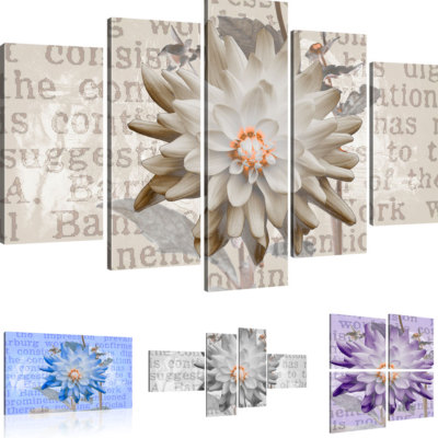 Bilder Aster Blume Bild auf Leinwand Abstrakt
