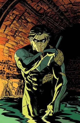 NIGHTWING #109 VARIANT CVR E INC 1:25 ETHAN YOUNG CARD STOCK VARIANT (TITANS BEA