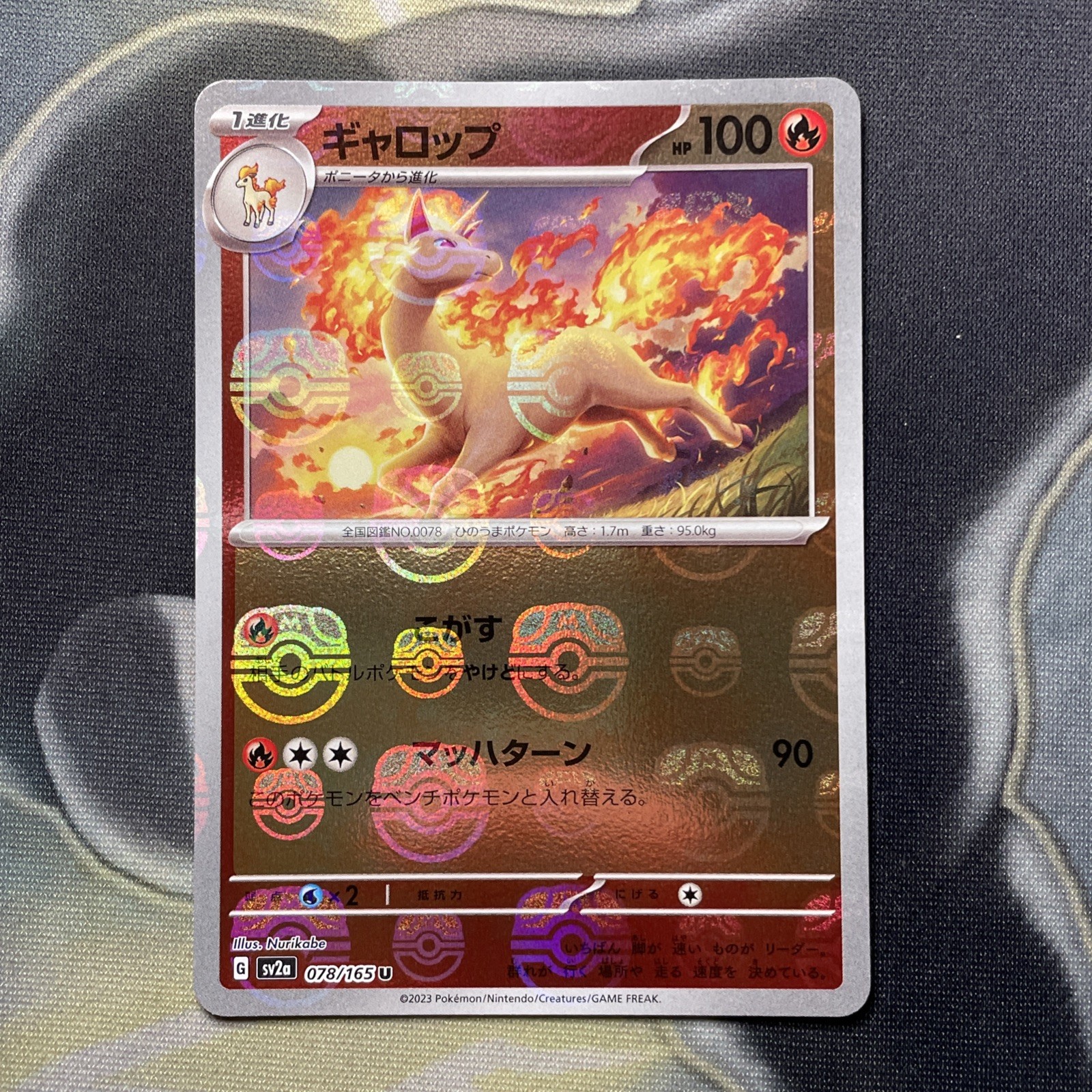 Rapidash 078/165 Master Ball - 151 sv2a Japanese Mint - Pokémon Card Game