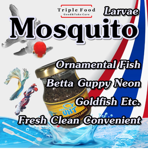 Fish Food UHT Moina Artemia Mosquito High Protein for Guppy Betta Ornamental fis - Picture 16 of 17