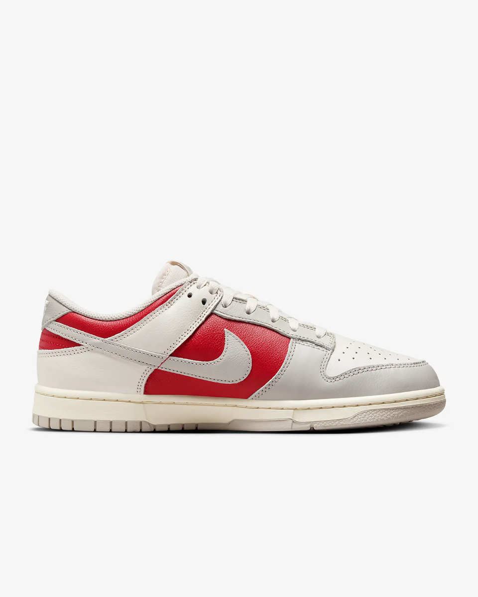 Nike Dunk Low Retro HJ9093-030 Sneaker Men's Gray Leather Nike Dunk Low Retro HJ9093-030 Sneaker Men's Gray Leather