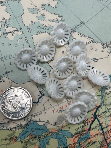 VINTAGE 1940s set of 12 small white flower buttons plastic celluloid 13mm - Foto 3 di 5