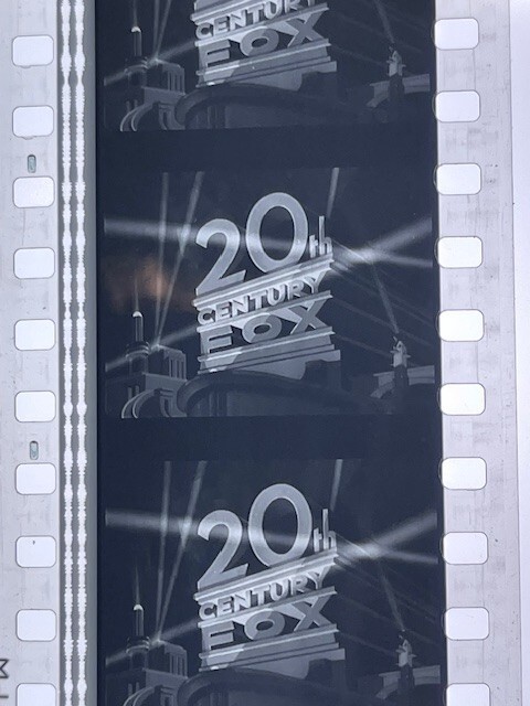 SD 20th Anniversary Logo T 白 L SD 20th Anniversary Logo T ホワイト Lサイズ