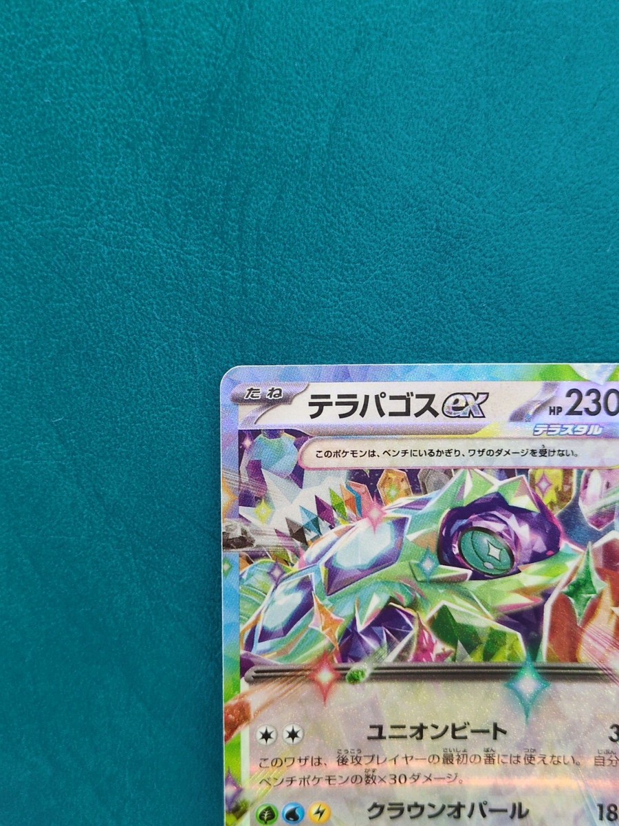 Pokemon cards terapagos EX Holo sv7 088/102 double Rare | eBay Pokemon cards terapagos EX Holo sv7 088/102 double Rare | eBay
