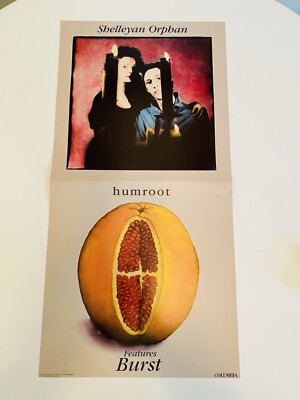 Shelleyan Orphan Humroot / James McMurtry Orig Double Promo Poster Flat 12x24