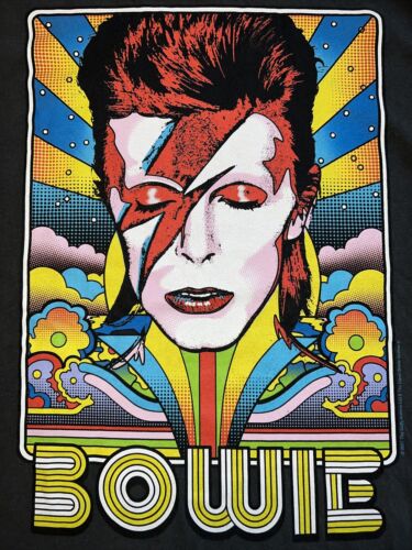 Vintage David Bowie Archive Tour Concert Shirt Medium Gray Old Navy 60’s 70’s - Afbeelding 1 van 6