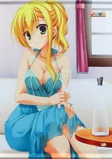 DDP Tapestry Yuzu Para Noble Works Akari Kanemoto Ver.2  22 / Soft Shop Limited