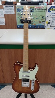 GREG BENNETT FORMULA FA-2 Electric Guitar (no260528)