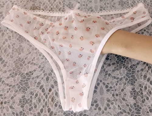 PEACH BLOSSOM ULTRA SHEER NYLON SPANDEX FRENCH CUT BIKINI PANTY L - Picture 2 of 3