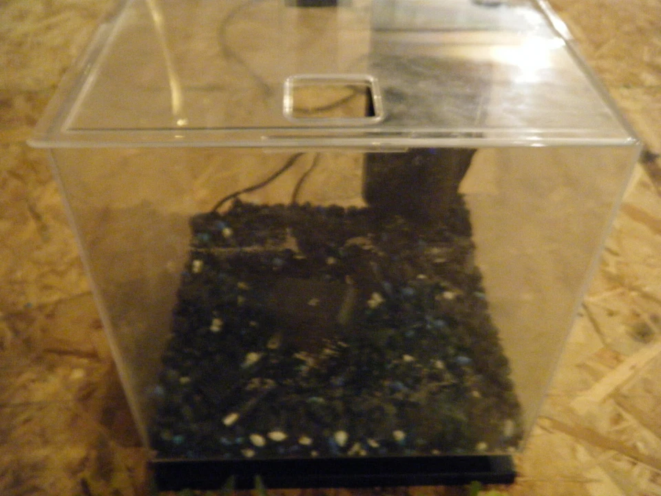 Tetra LED Cubo Acuario Kit 3 Galones Usado Foto 2 de 2