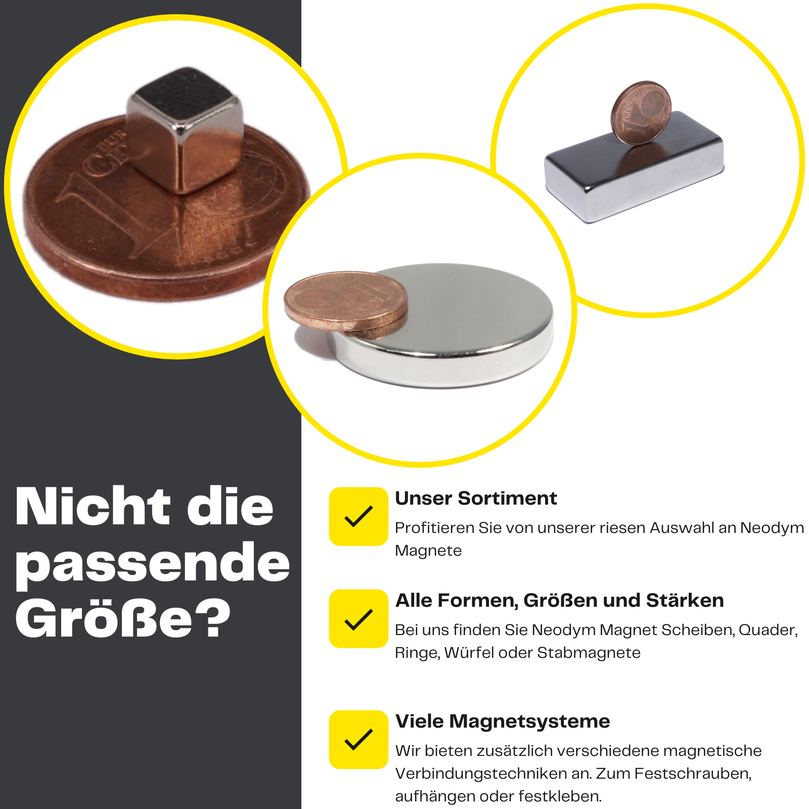 Bild 7 von 7