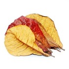 Bild 6 von 8