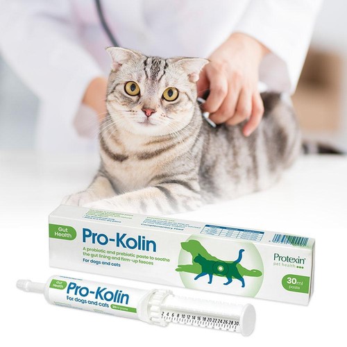 Protexin pet health Pro-Kolin for Dogs and Cats Probiotic Paste and Syringe 30ml - Picture 3 of 9