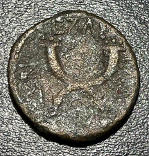 73-74 AD (Year 137) Roman Provincial Decapolis Gadara Titus AE 18mm 4.35g Coin