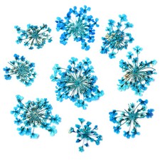 3D Getrocknete Blumen Nail Art Dekoration Nat&uuml;rliche Blume Aufkleber F&uuml;r N&auml;gel