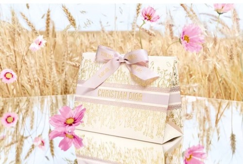 Gorgeous!* DIOR Mother’s day 2024 Gift Clutch Bag LE NEW! - Picture 8 of 8