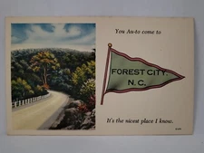 Postcard Forest City North Carolina PENNANT Greetings You Au-to Come Scenic