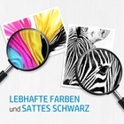 Bild 5 von 10