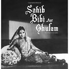 Sahib Bibi Aur Ghulam: The Original Screenplay by Dinesh Raheja (Mixed media product)