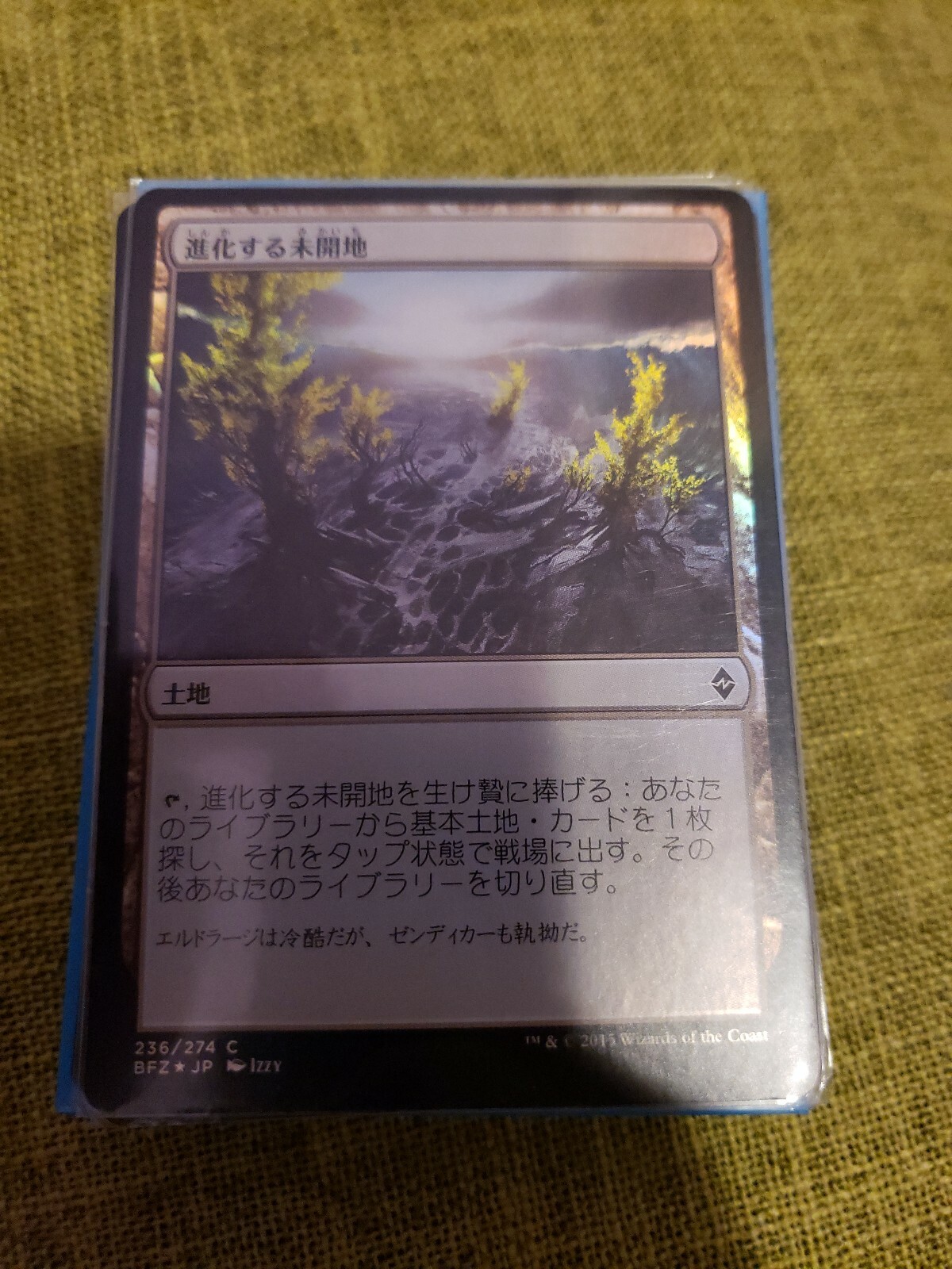 Picture 1 of 1