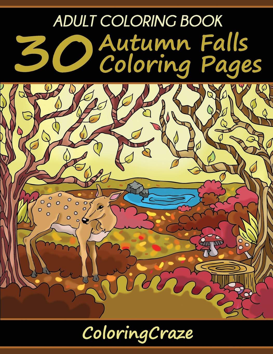 Thumbnail - Coloringcraze Adult Coloring Book (gebundene Ausgabe) (us Import)