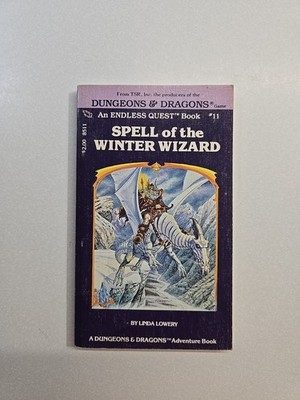 Dungeons & Dragons Endless Quest #11 Spell of the Winter Wizard Paperback 1983