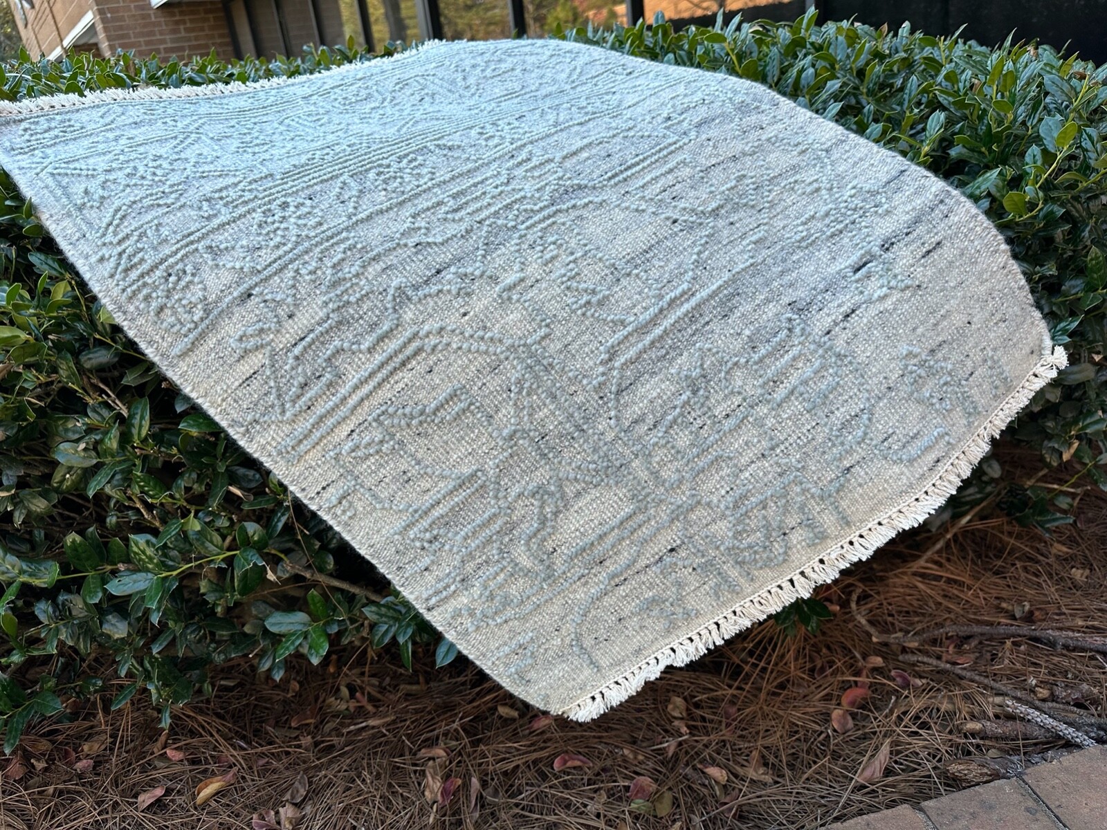 Picture 5 of 5