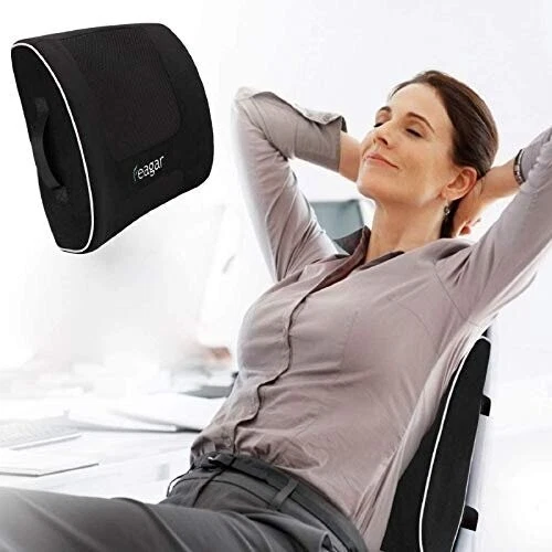 Feagar top lumbar support