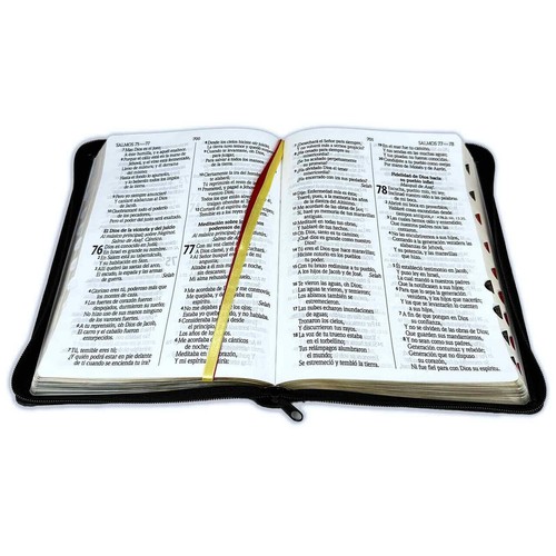 Biblia Letra Gigante 14 puntos con Cierre RV1960 imit piel negro con indice - Picture 3 of 3