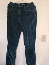 VIntage Sostanza Womens Green Velvet Pants Sz 8 Hong Kong