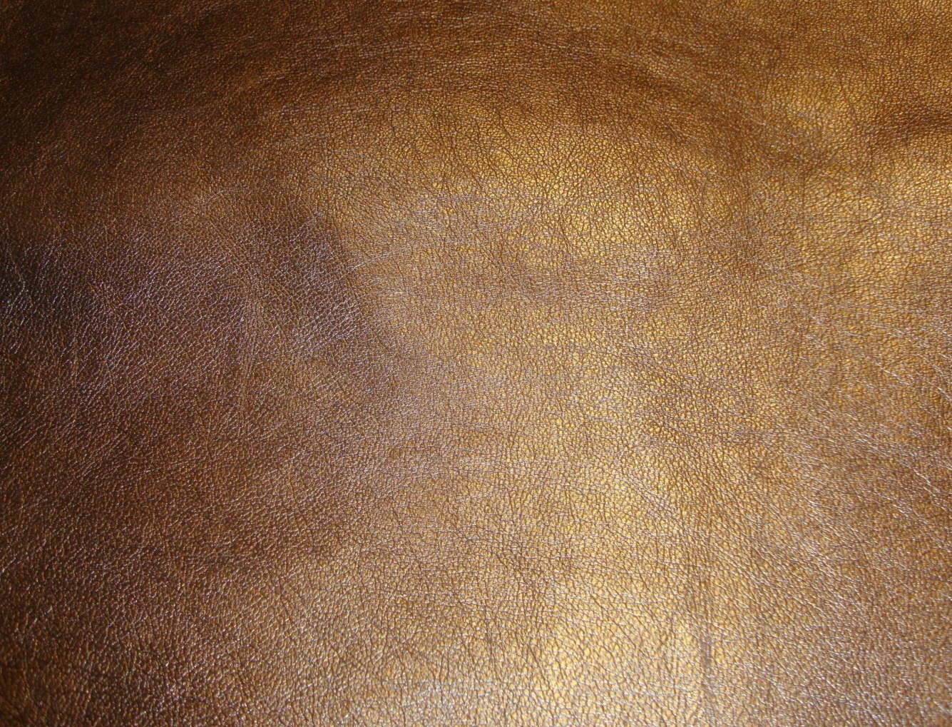 Picture 6 of 8