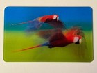 Bild 49 von 100